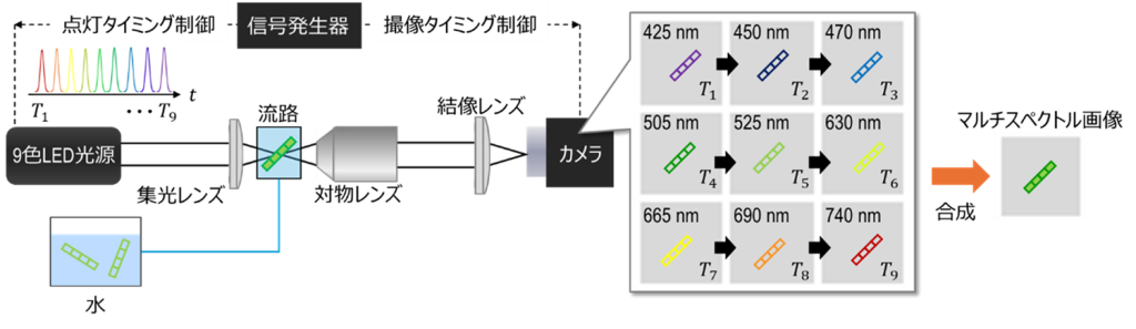 スペクトル画像を取得するマルチスペクトル顕微鏡