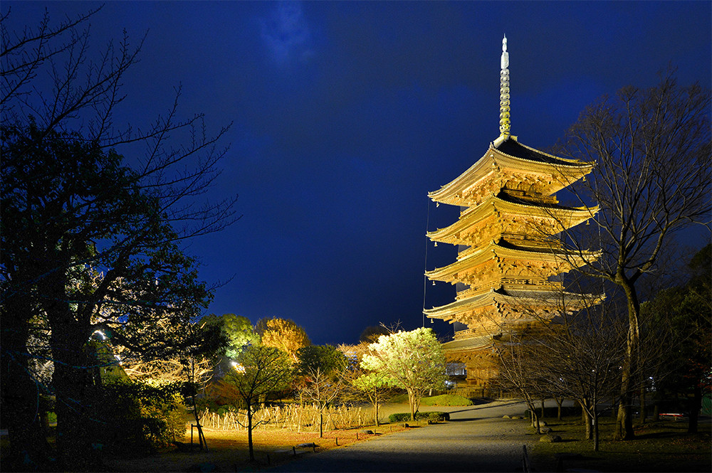 Meticulously Designed Illumination：To-ji Temple Brightens up Kyoto Evenings