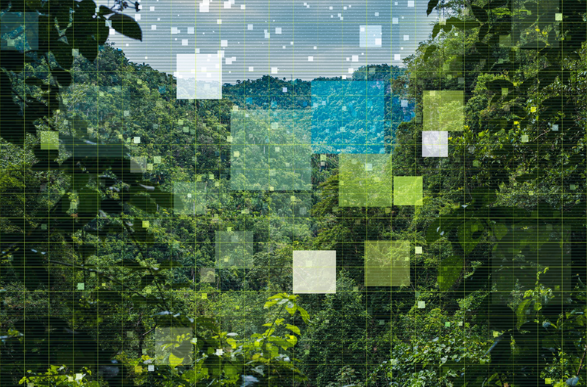 From Climate Targets to Holistic Solutions