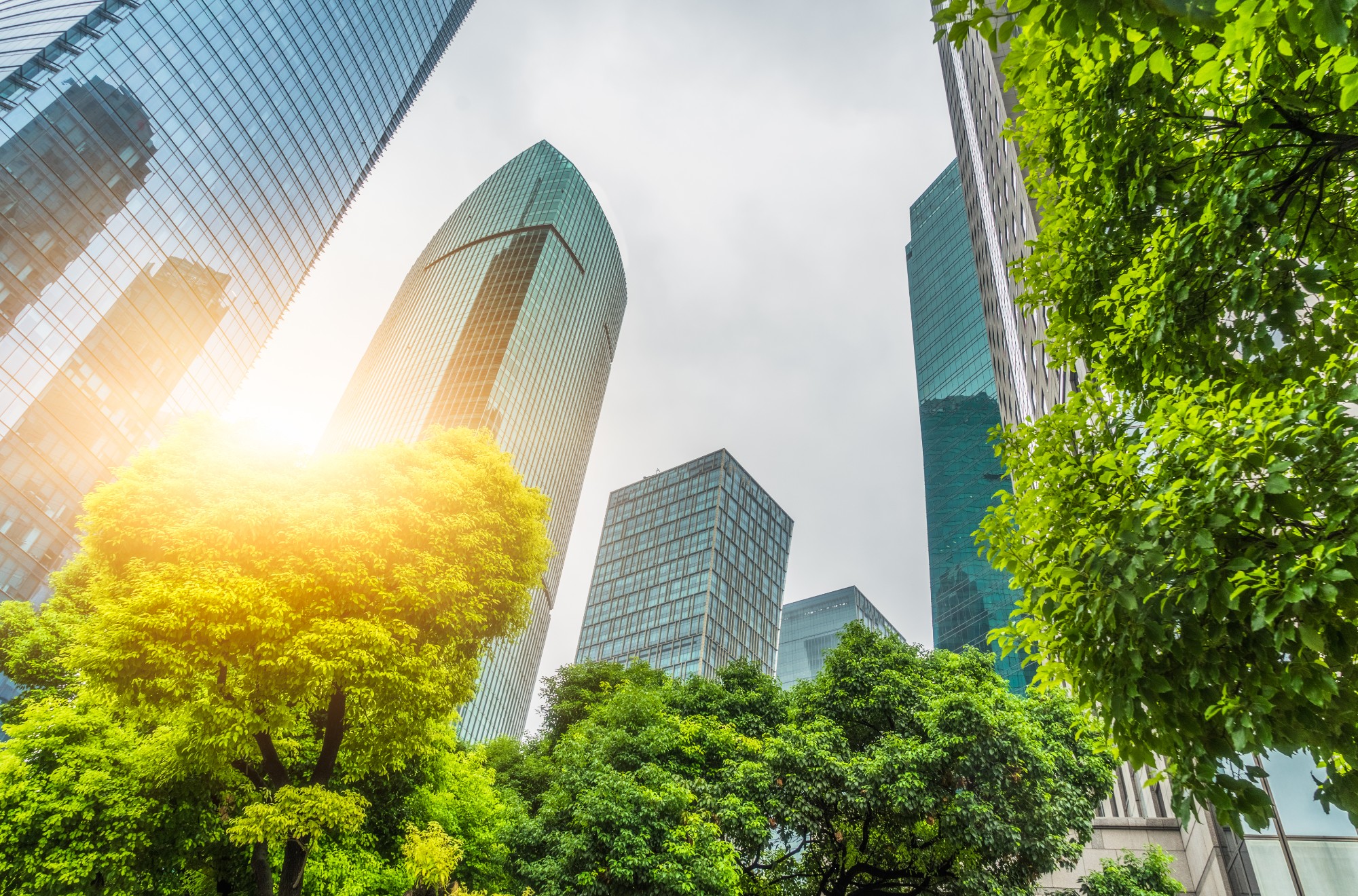Corporate Reporting on the SDGs: What Are the Challenges and Opportunities?