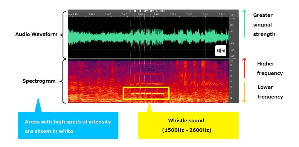 The AI automatically uses the sound of the whistle to tag individual plays recorded on video
