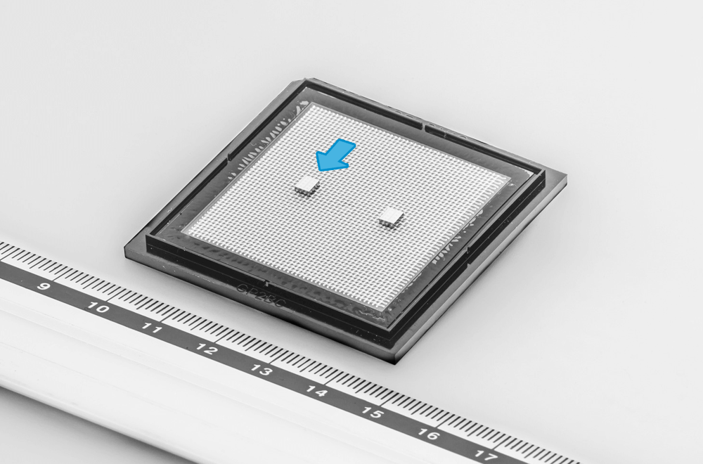 The newly developed hydrogen sensor chip (indicated with arrow)