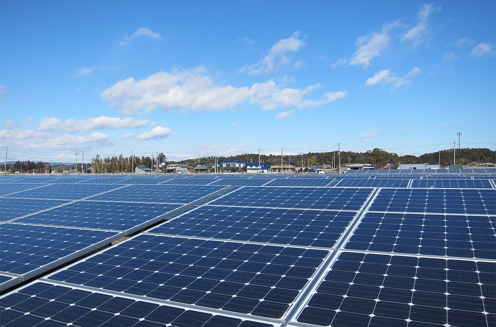 IMAGE OF SOLAR PANELS AT THE SOLAR AGRIPARK