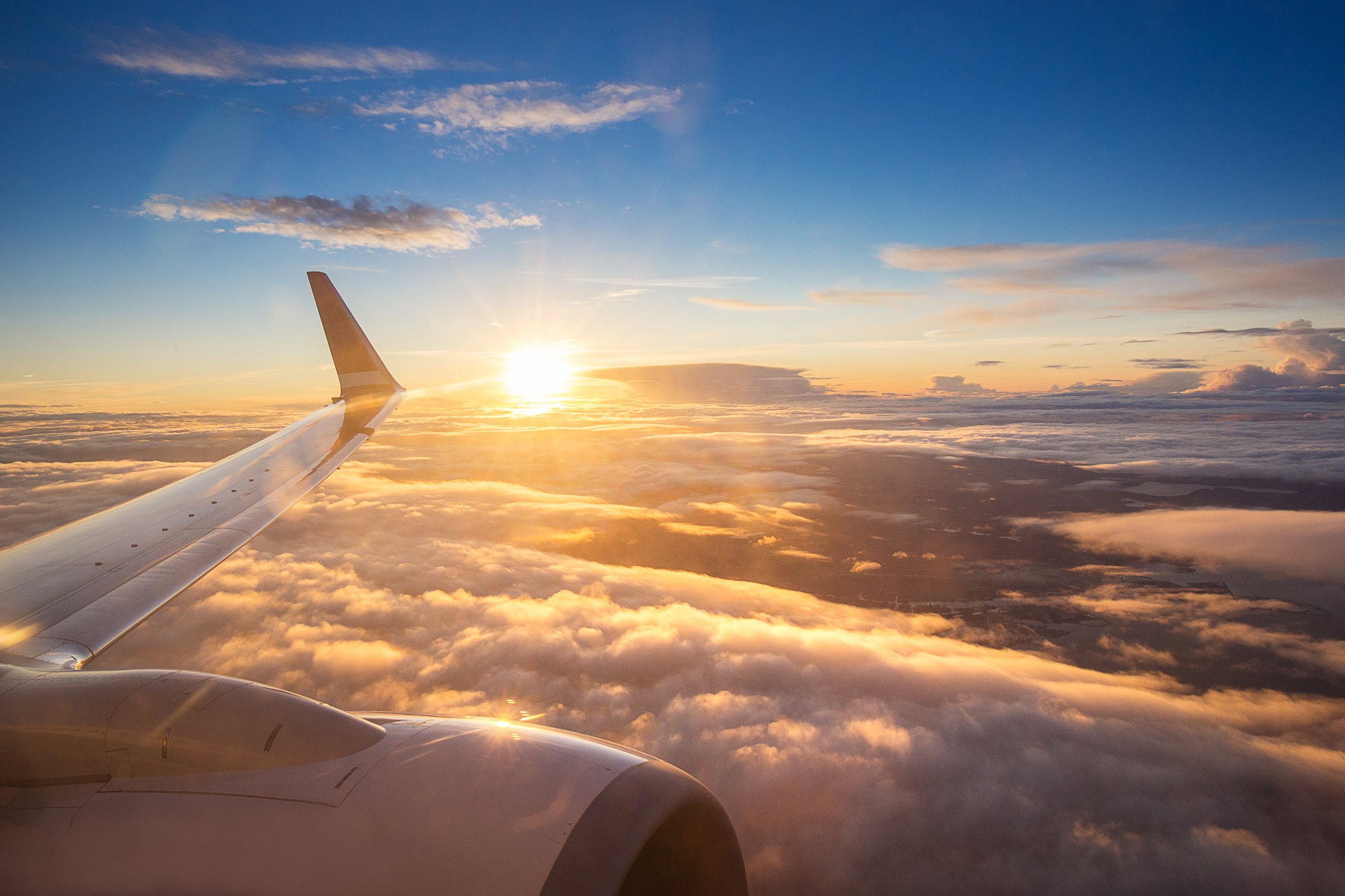 Sustainable aviation fuel is the only way forward if we want to keep flying