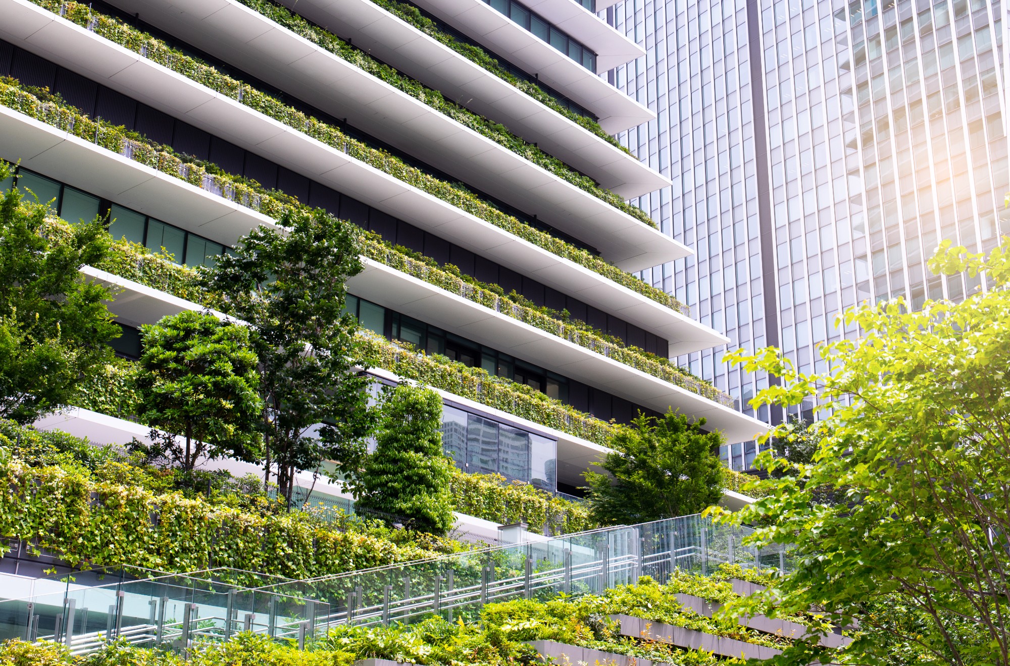 Government should have moved earlier to low-carbon, say industry experts