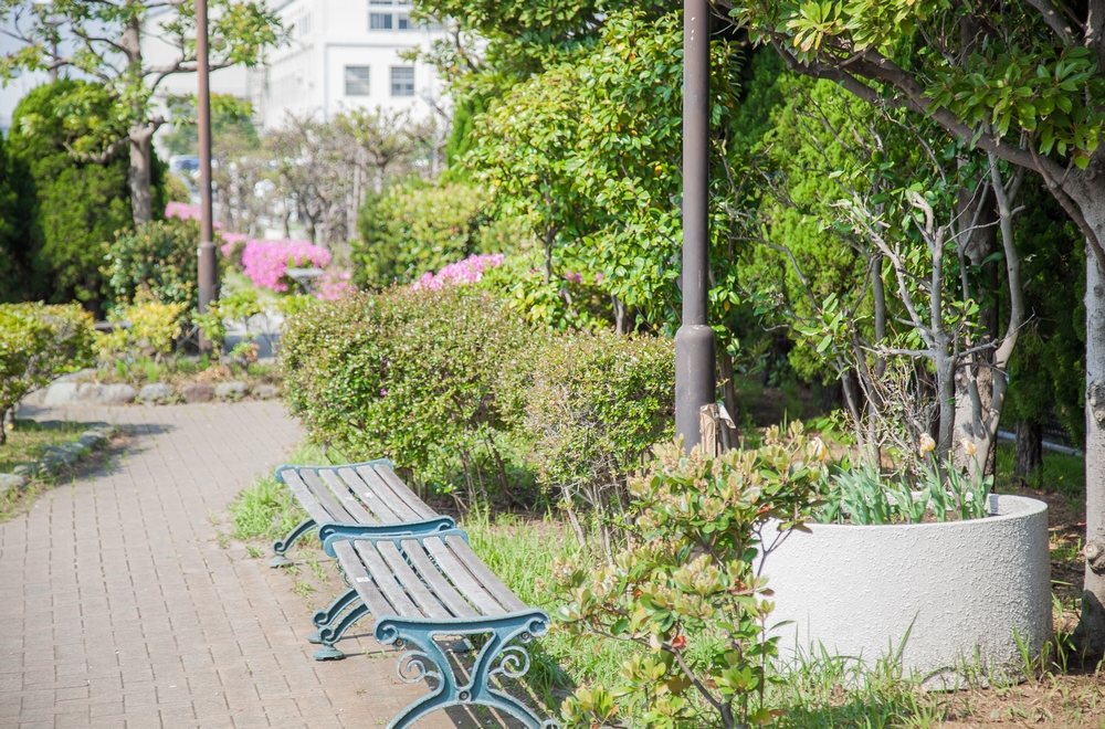 海芝公園