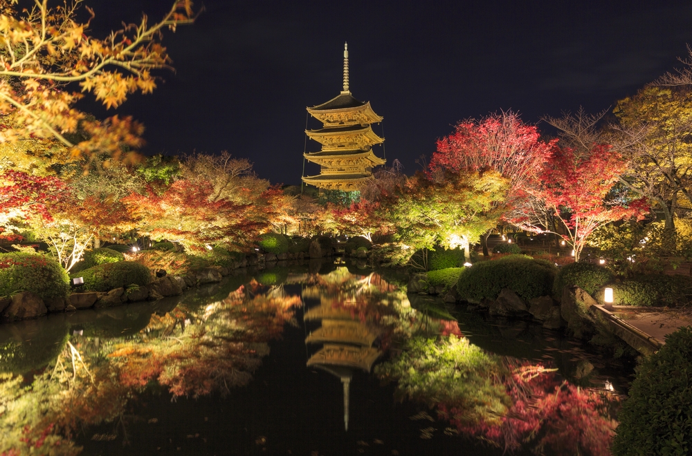 東寺五重塔が金色に輝く京都の夜 綿密に設計されたライトアップ