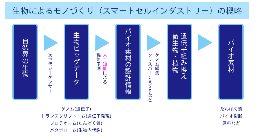 スマートセルインダストリーの概略