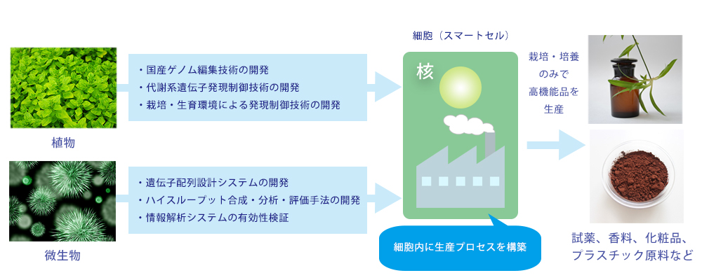 スマートセル構築による高機能品生産技術開発