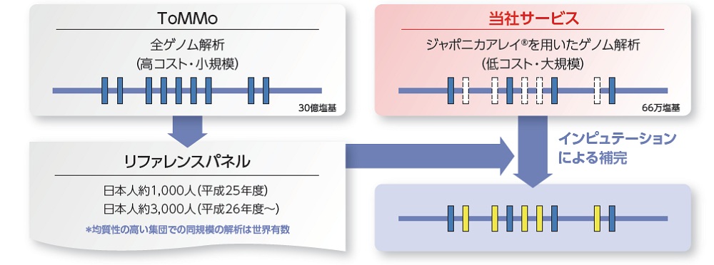 ジャポニカアレイ®によるインピュテーションの概要