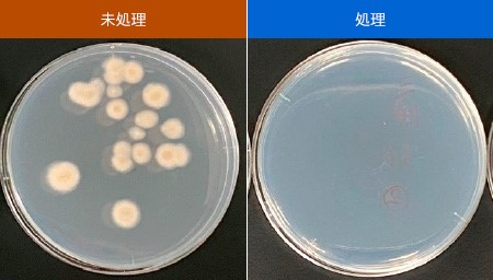 紫外線による菌の繁殖抑制（25℃、3日保管後、分析）