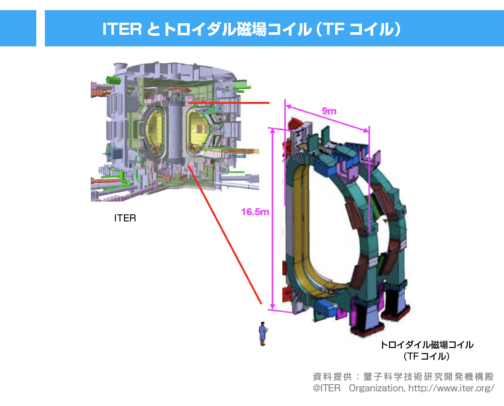 ITERとTFコイル