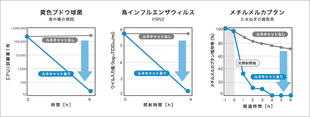 ルネキャットが持つ優れた除菌効果