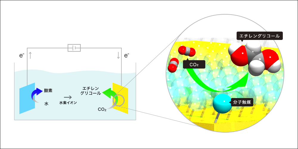 分子触媒による二酸化炭素の変換（左）と今回開発した分子触媒（右）