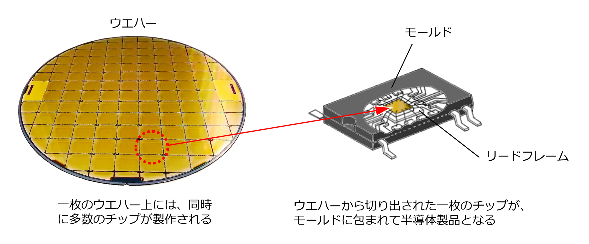 半導体の本体であるチップは、樹脂のモールドに包まれている