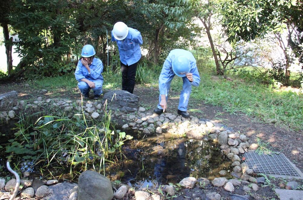 「あ、ここにメダカがいる」「メダカが休みやすいようにもっと草を増やしたら」という会話も従業員の間で聞かれるようになった