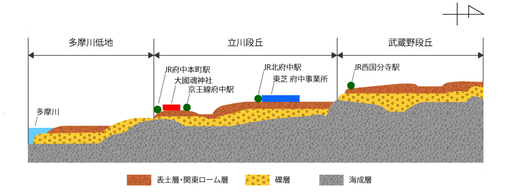 南側は低地、北に進むにつれて標高が高くなる段丘状の府中の土地