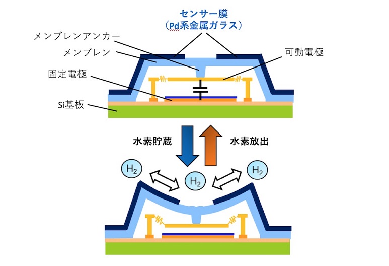 センサー膜