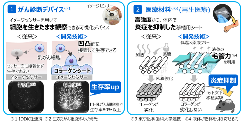 がん細胞を生きたまま観察可能にする「がん診断デバイス」と 高強度かつ炎症を抑制した「医療材料」としての移植用シート