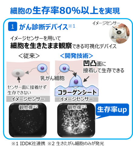 イメージセンサー上のコラーゲンシートにより、がん細胞を生きたまま観察できる