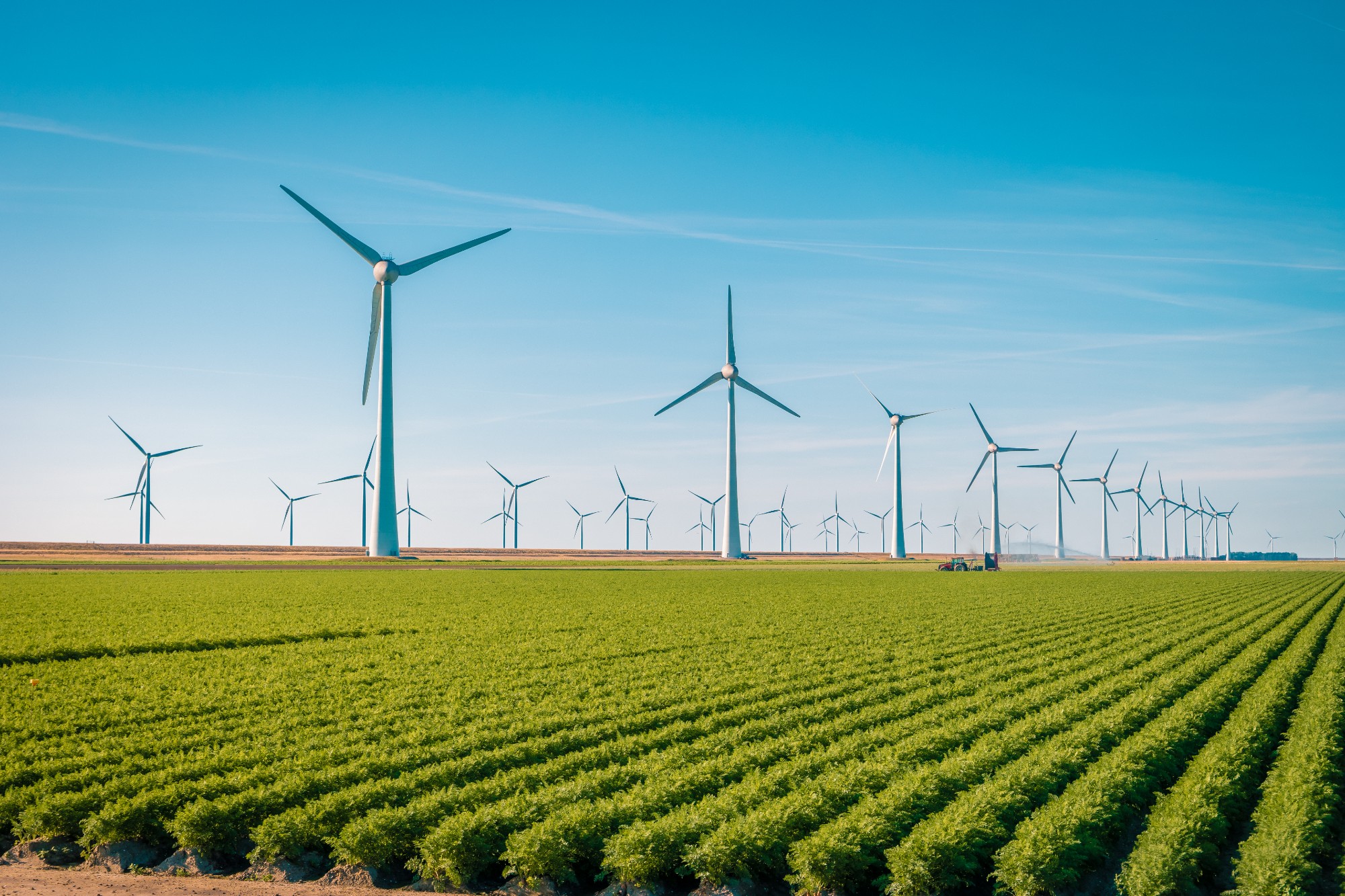 2035年までにロサンゼルス市が100%クリーンエネルギーへの移行を達成すると決議
